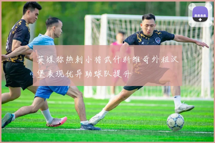 英媒称热刺小将武什科维奇外租汉堡表现优异助球队提升