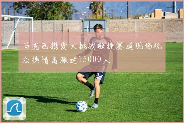 马克西携爱犬挑战敏捷赛道现场观众热情高涨达15000人