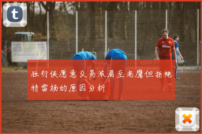 独行侠愿意交易浓眉至老鹰但拒绝特雷杨的原因分析
