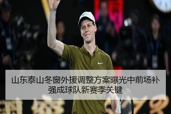山东泰山冬窗外援调整方案曝光中前场补强成球队新赛季关键 | MILANSPORT
